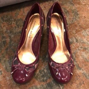 Antonio Melani  size7